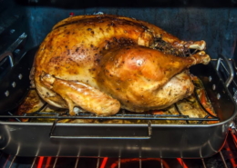 Pet Air Purifier & Odor Eliminator - CritterZone - Turkey