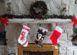 Pet Air Purifier - CritterZone - Stocking Stuffers