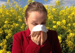 pet air purifier - critterzone - allergies