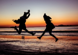 pet air purifier - critterzone - fun